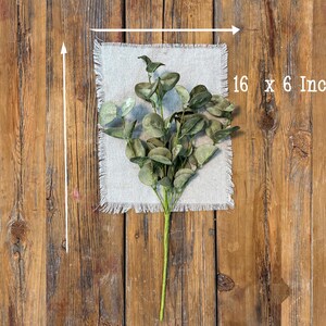 This shows on eucalyptus spray laying flat on a wood board. The green eucalyptus spray is 16 inches tall and6 inches wide.