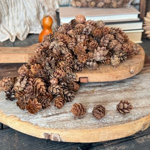 Miniature Pinecones, Natural Bowl Filler, Rustic Home Decor, Craft Supplies for Wreaths & DIY Projects