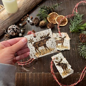 May include: Three rustic birch bark ornaments with a moose design, each with a red and natural twine hanger. The ornaments are on a wooden surface with pine sprigs, pinecones, and dried orange slices.