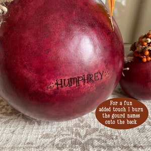 Pu&ograve; includere: Una zucca rotonda di colore rosso intenso con una finitura liscia e screziata. Il nome HUMPHREY &egrave; inciso a fuoco sulla superficie in lettere nere, fiancheggiato da piccoli punti. Una spessa corda di juta chiara &egrave; legata al bordo superiore.