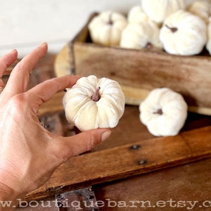 Small Fall Pumpkins In White Velvet For Fall Tabletop Decorating