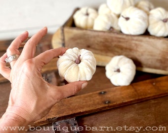 Small Fall Pumpkins In White Velvet For Fall Tabletop Decorating