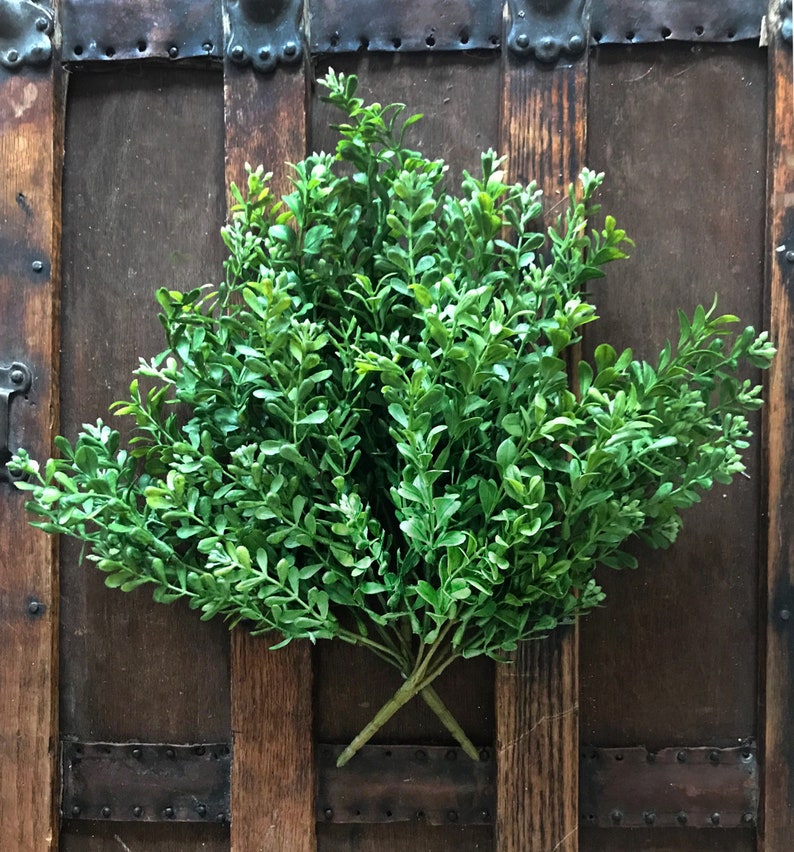 A bouquet of artificial boxwood greenery on a trunk.