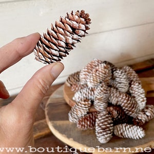 Bowl Filler Decor, White Pine Cone, Christmas Bowl Filler, Natural Bowl Filler, Dough Bowl Decor, Dried Botanicals, Decorative Vase Filler