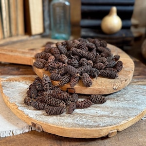 Small Pine Cones, Natural Bowl or Vase Filler, Dried Botanical Poda, Neutral Home Decor, Christmas or Thanksgiving Table Centerpiece Supply