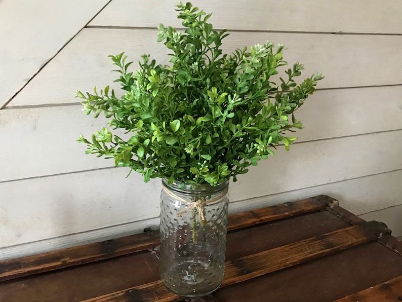 A bouquet of artificial boxwood greenery in a clear glass vase.