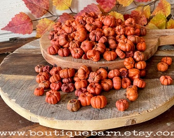 Little Fall Pumpkins, Vase or Bowl Filler, Natural Dried Putka Pods, Potpourri Supplies