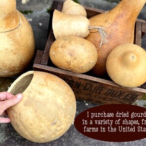 This image shows a collection of real dried gourds. I use them to make whimsical fall decorations.