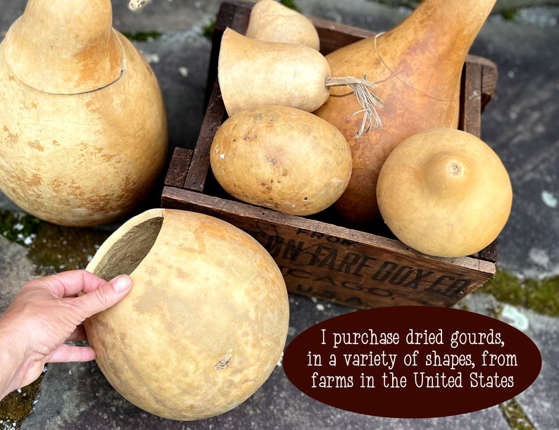 This image shows a collection of real dried gourds. I use them to make whimsical fall decorations.