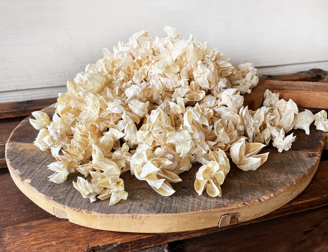 Bowl Filler Decor, White Vase Filler, Natural Dried Botanicals, Dough