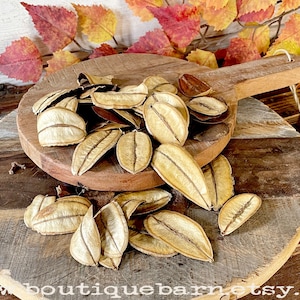 Natural Bowl Filler, Dried Botanical Leaves, Dough Bowl Decor, Fall Table Decorations, Vase Filler, Table Centerpiece