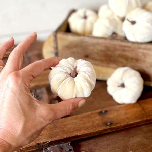 May include: A small, off-white velvet pumpkin with a brown stem. The pumpkin has a soft, ribbed texture and is held between fingers. Additional identical velvet pumpkins are visible in a wooden container in the background, creating a collection.