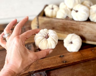 Small Fall Pumpkins In White Velvet For Fall Tabletop Decorating