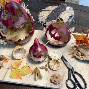 This image shows my workstation where I make the Halloween gourds. The items I use to create the fall gourds are laying on the table. It shows a dried gourd, fall leaves, and scissors laying on the table.