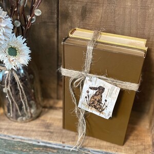 This image shows a bundle of vintage books tied together with twine. They have a handmade birch tag attached. The tag has a rabbit and butterfly  silhouettes wood-burned onto it.