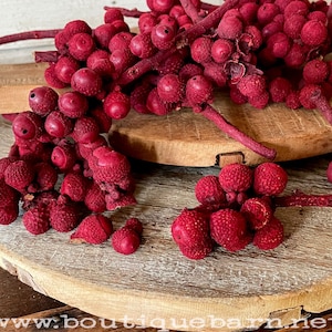 Roter Schüsselfüller, Weihnachtsschüsseldekor, natürliche getrocknete botanische, Teigschüsselfüller, Weihnachtstischdekoration, rustikales Herzstück