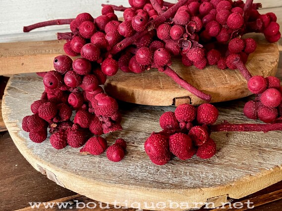 Red Bowl Filler, Natural Dried Botanicals, Dough Bowl Filler, Holiday Table Decoration, Rustic Centerpiece