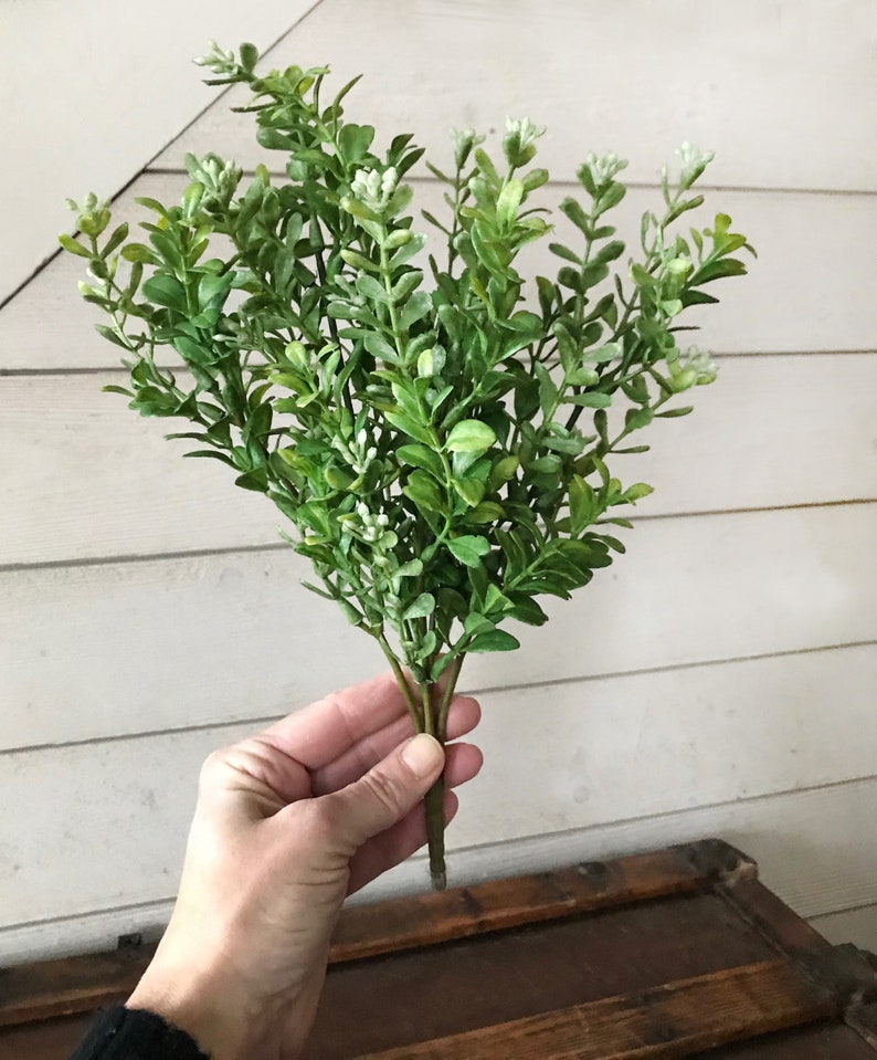 A spray of artificial boxwood greenery.