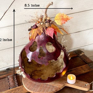 This image shows a large mouth pumpkin gourd decoration. It is a real dried gourd with a carved face. The pumpkin is 12 inches tall and 8.5 inches wide. The gourd is stained berry color. The pumpkin is named Humphrey.