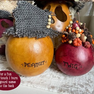 These are handmade pumpkin decorations. They are made with real gourds. I burn their names into the back of the gourd shell. This image shows Peanut and Twig.