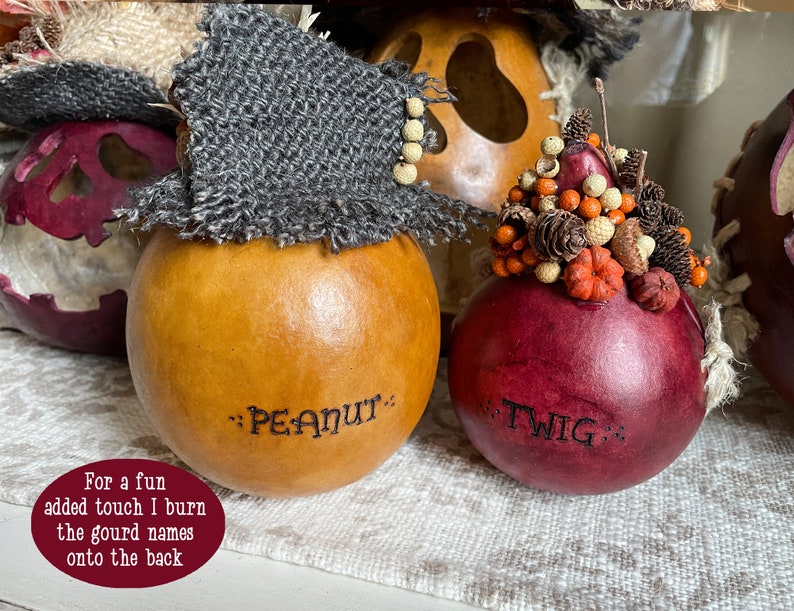 These are handmade pumpkin decorations. They are made with real gourds. I burn their names into the back of the gourd shell. This image shows Peanut and Twig.
