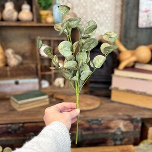 This shows me holding one eucalyptus spray. In the backround is a antique trunk, stacked books, a rustic birdhouse and dried gourds.