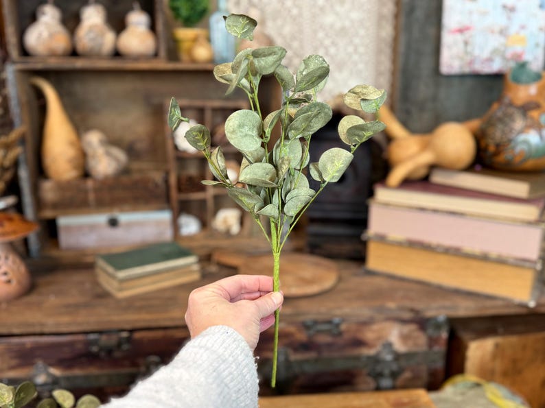This shows me holding one eucalyptus spray. In the backround is a antique trunk, stacked books, a rustic birdhouse and dried gourds.
