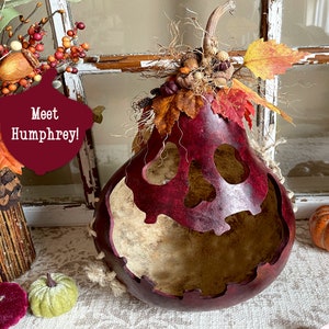 This image shows a large mouth pumpkin gourd decoration. It is a real dried gourd with a carved face. The face has a ghostly expression. The gourd is stained berry color. It has dried botanical berries and fall leaves arranged on the top.