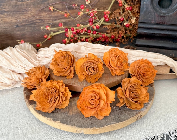 Fall Flowers & Fillers