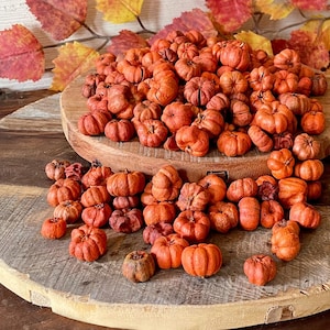 Little Fall Pumpkins, Vase or Bowl Filler, Natural Dried Putka Pods, Potpourri Supplies