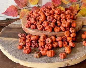 Little Fall Pumpkins, Vase or Bowl Filler, Natural Dried Putka Pods, Potpourri Supplies