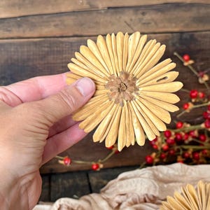 This shows me holding a Gerba wood Daisey with the back showing.