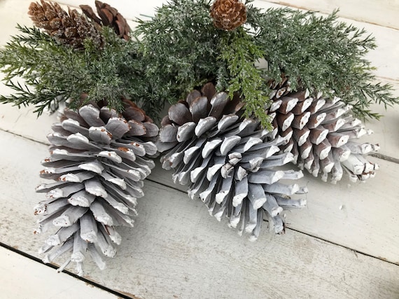 White Pine Cone Stem|Christmas Naturals For Mason Jar Or Vase|Rustic Centerpiece|Arrangement Supplies