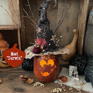 不気味なカボチャの飾り、秋のひょうたん、手作りのハロウィーンの飾り、カボチャのギフト