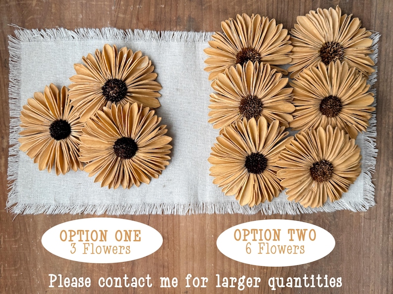 This shows a set of 3 and a set of 6 beige Gerba Daisies that are offered for sale. Text at the bottom indicates larger quantities can be special ordered.