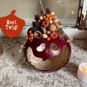 Può includere: Una zucca decorativa intagliata, con un esterno rosso scuro e un design a forma di volto. La parte superiore è adornata con fiori secchi, pigne e ghiande. Il testo "Meet Twig!" è visualizzato su un cartello rosso a forma di ghianda. Una piccola candela a batteria è nelle vicinanze.