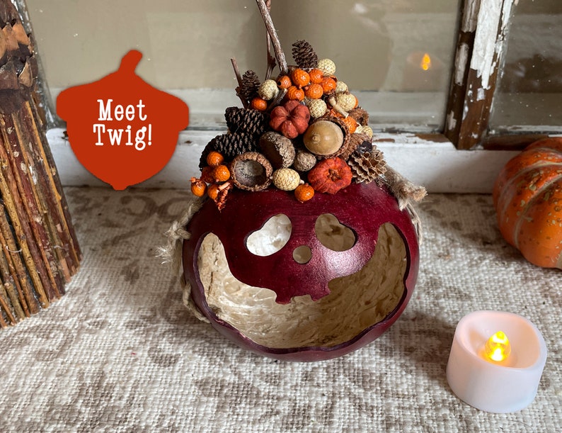 This is a handmade pumpkin decoration. It is a real dried gourd, with a carved ghostly facial expression. The shell has been stained a burgundy color. There is a fall berry arrangement on the top.