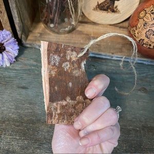 This shows me holding a piece of birch bark. It is the back view of the bark. I have collected this tree bark from the woods and have torn the bark into 3-inch pieces. I punch a hole in the top corner and tie twine to it.