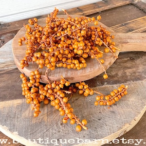 Bowl Filler, Natural Dried Botanicals, Dough Bowl Filler, Fall Table Decoration, Rustic Centerpiece