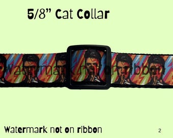 Lightening Rock   Cat * Kitty collar *      5/8 “ wide * Adjustable  Breakaway Buckle Collar with bell