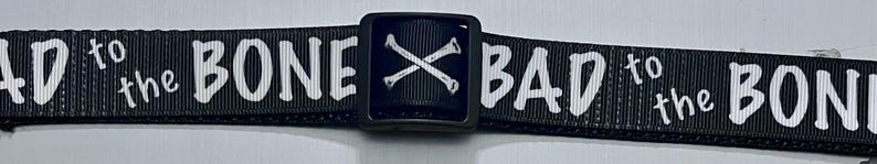 May include: Black dog collar with white text that reads "BAD to the BONE". The collar has a black buckle with a white crossed bone design. The collar is made of a durable, woven material.