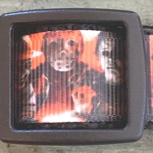 5/8' or 3/4"  little Dog Collar  "  Horror Xsmall, Small * Adjustable Buckle Collar