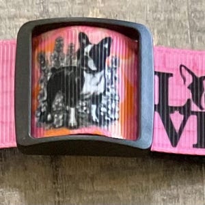 Dog Collar &quot;  * * Boston Terrier Bulldog   * 1&quot; adjustable buckle or martingale