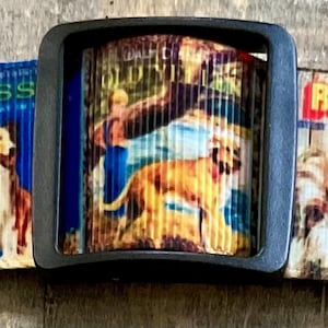 Dog Collar &quot;  * Retro Vintage Hero TV Dogs        * 1&quot; adjustable buckle or martingale