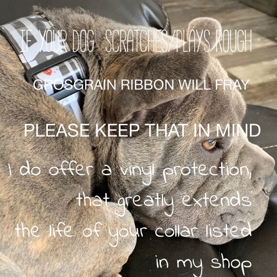 can-i-leave-a-martingale-collar-on-my-dog