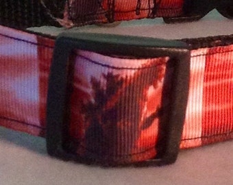 Custom Dog Collar  *   SciFi * Godzilla   * Adjustable Buckle  OR Martingale Collar**I Love My Dog Collars on Etsy