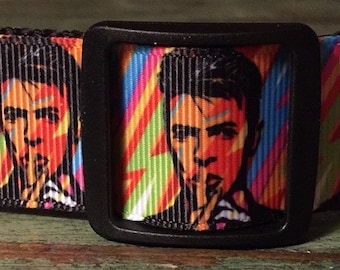 david bowie cat collar