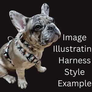 May include: A French Bulldog wearing a patterned harness and collar. The harness and collar feature a black and orange design on a white background. The dog has a gray and white coat with black spots. Text on the right side reads "Image Illustrating Harness Style Example."