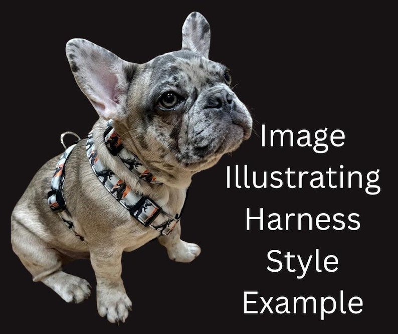 May include: A French Bulldog wearing a patterned harness and collar. The harness and collar feature a black and orange design on a white background. The dog has a gray and white coat with black spots. Text on the right side reads "Image Illustrating Harness Style Example."