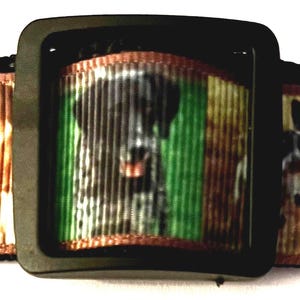 May include: A black dog collar with a colorful patterned strap featuring images of dogs. The strap has a black buckle.